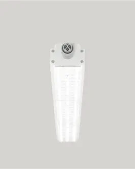 Intra-lighting- Sequal
