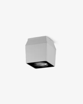 PUK- QUBO Downlight