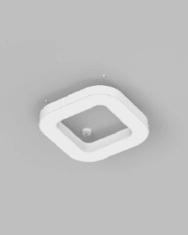 Prolicht- Quantum