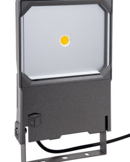 CLuce- GEMINI-LITE
