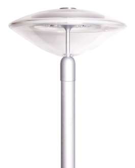 Salvi- ICON TOP