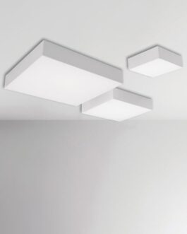 Bright- VIGOR S - M - L OUT SQUARE