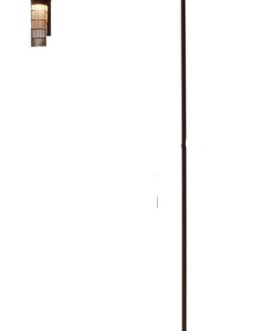 Flos- Caule Floor