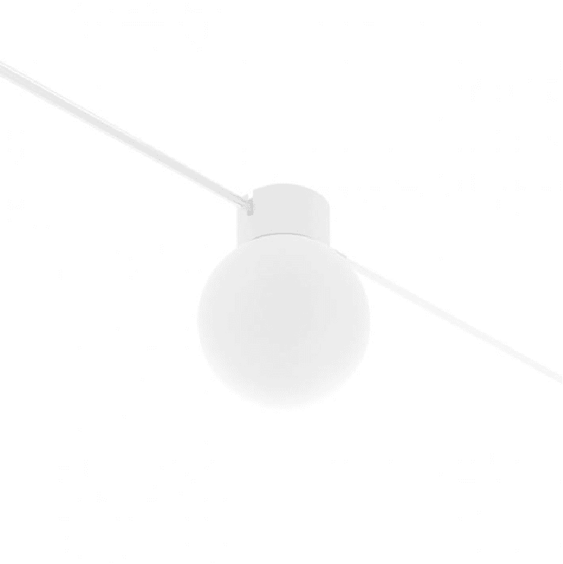 Linea Light- OH -C 10115
