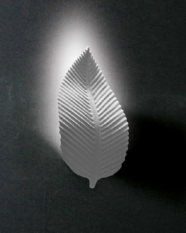 Bright- FOLIUM